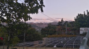 DSC_0421[1]